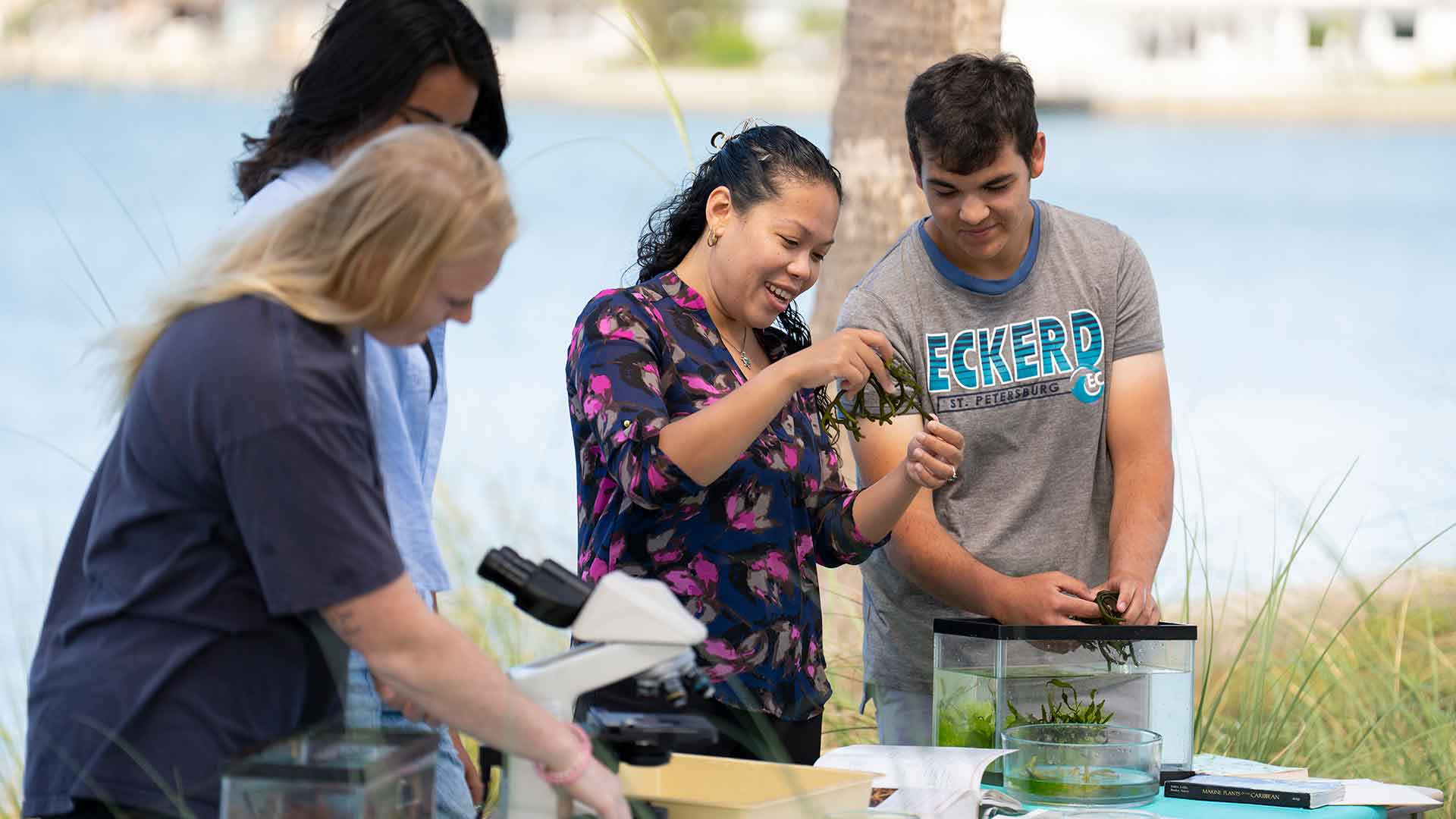 Ask Eckerd Anything