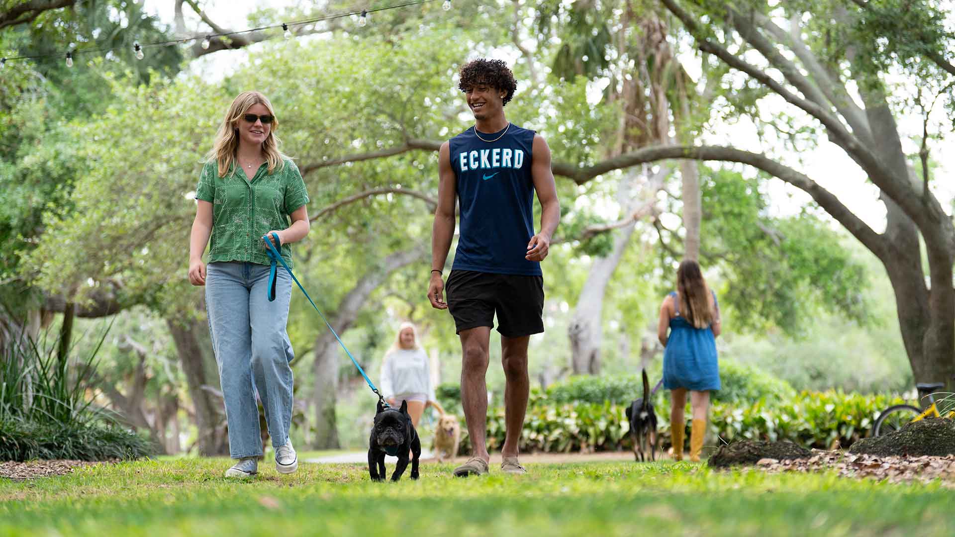 Dive into the Eckerd Experience